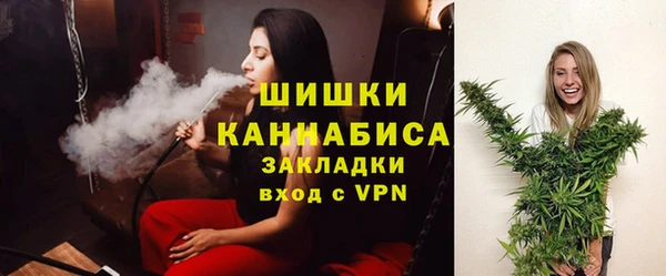 трава Гусиноозёрск