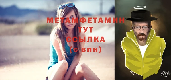 трава Гусиноозёрск
