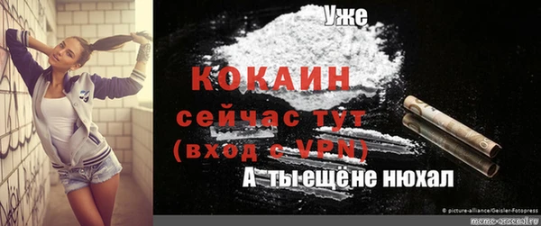 трава Гусиноозёрск