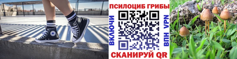 Псилоцибиновые грибы MAGIC MUSHROOMS  Купить закладки  Алейск 
