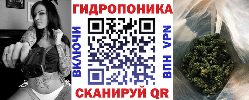 Купить где  Алейск  Канабис гибрид 